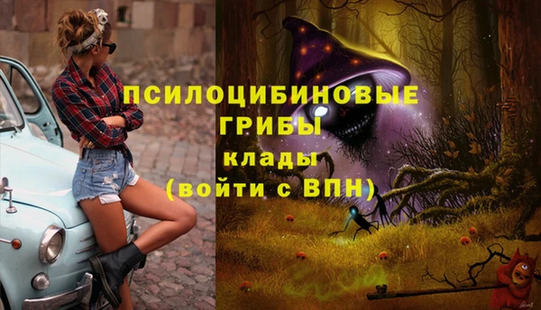 скорость Алексин