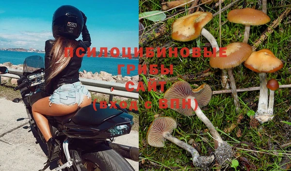 скорость Алексин