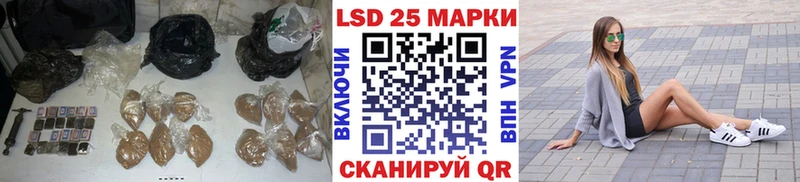 как найти наркотики  Шенкурск  darknet какой сайт  Лсд 25 экстази ecstasy 